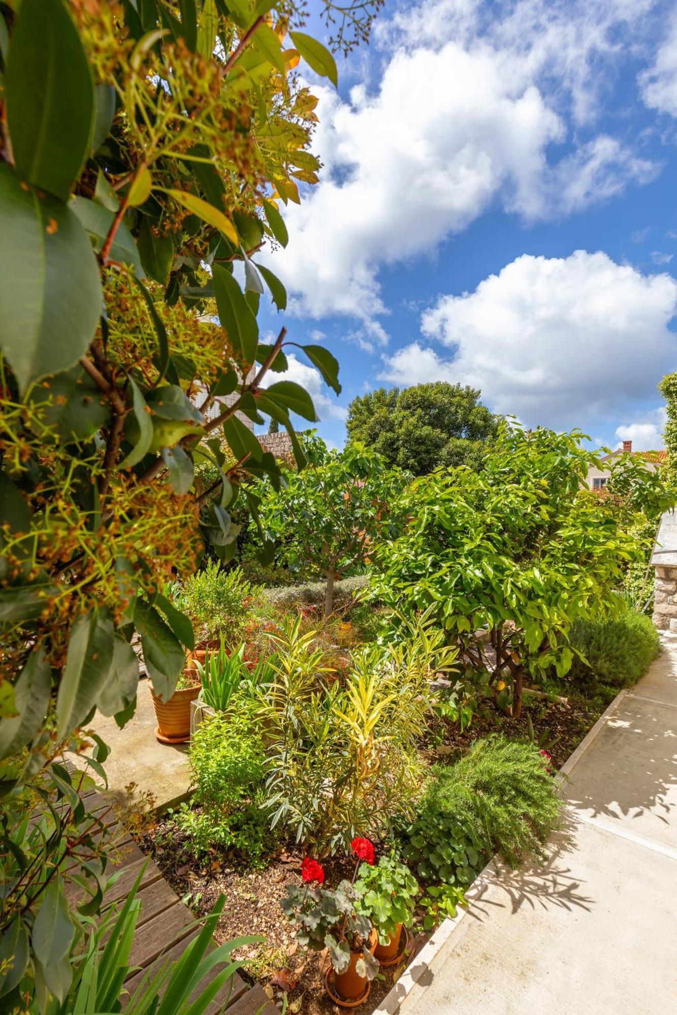 Dubrovnik Art Gateway Appartement Buitenkant foto